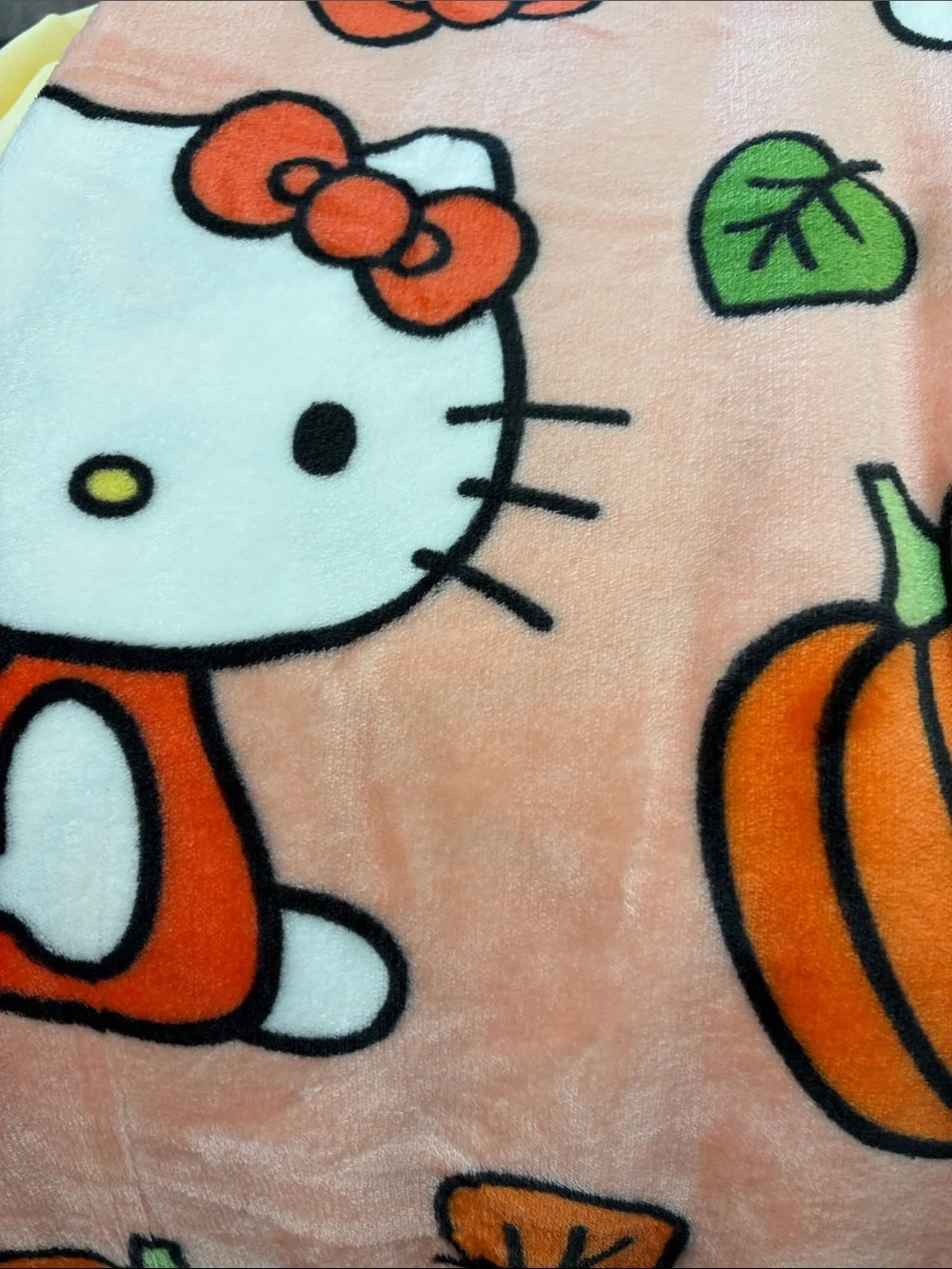 Hello Kitty Silk Touch Throw 50x70